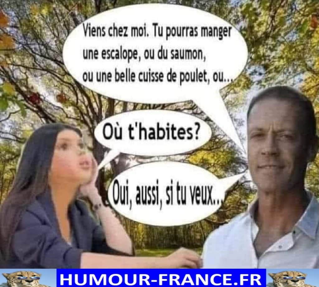 Viens chez moi. Tu pourras manger une escalope, ou du saumon, ou une belle cuisse de poulet, ou …