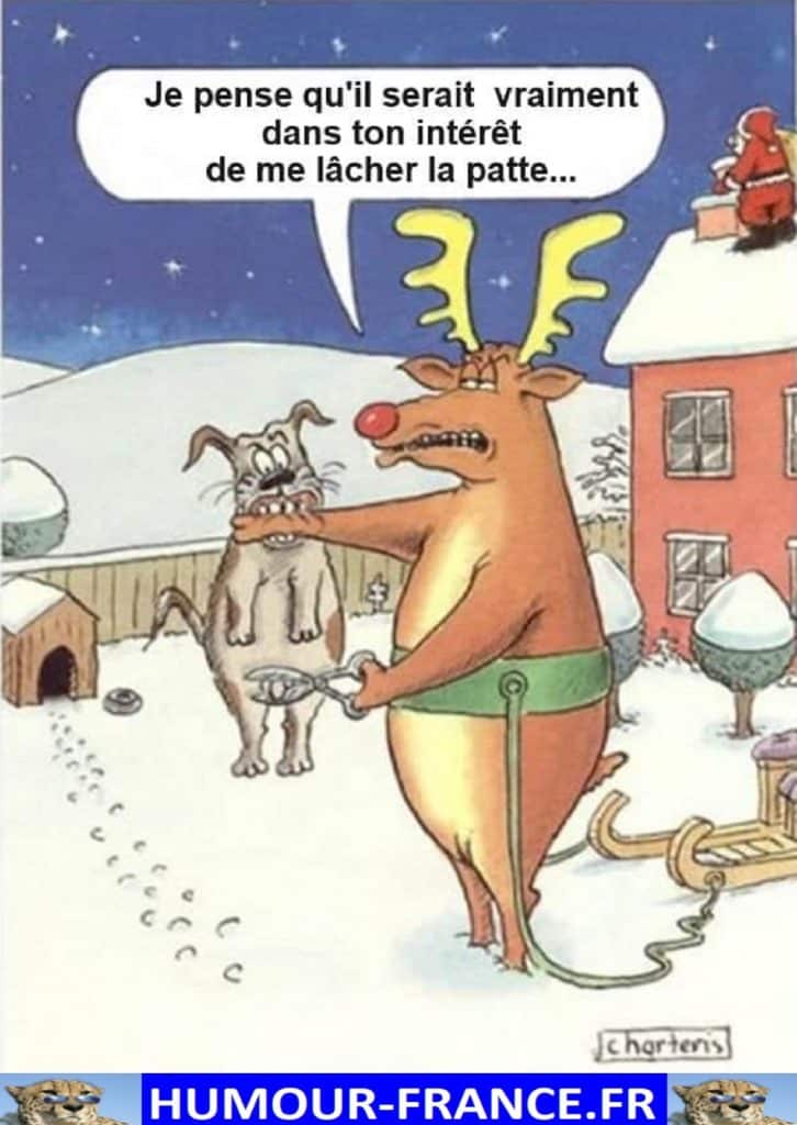 Je pense qu’il serait vraiment dans ton intérêt de me lâcher la patte …