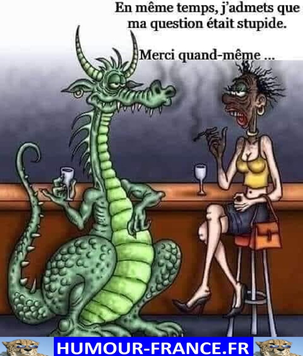 En même temps, j’admets que ma question était stupide. - Humour-France.fr