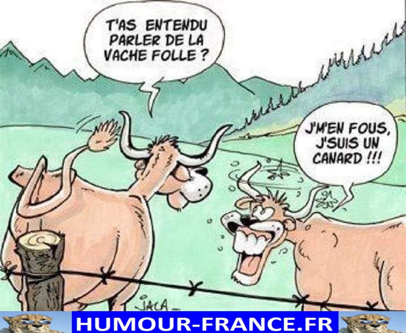 Tu as entendu parler de la vache folle ? - Humour-France.fr