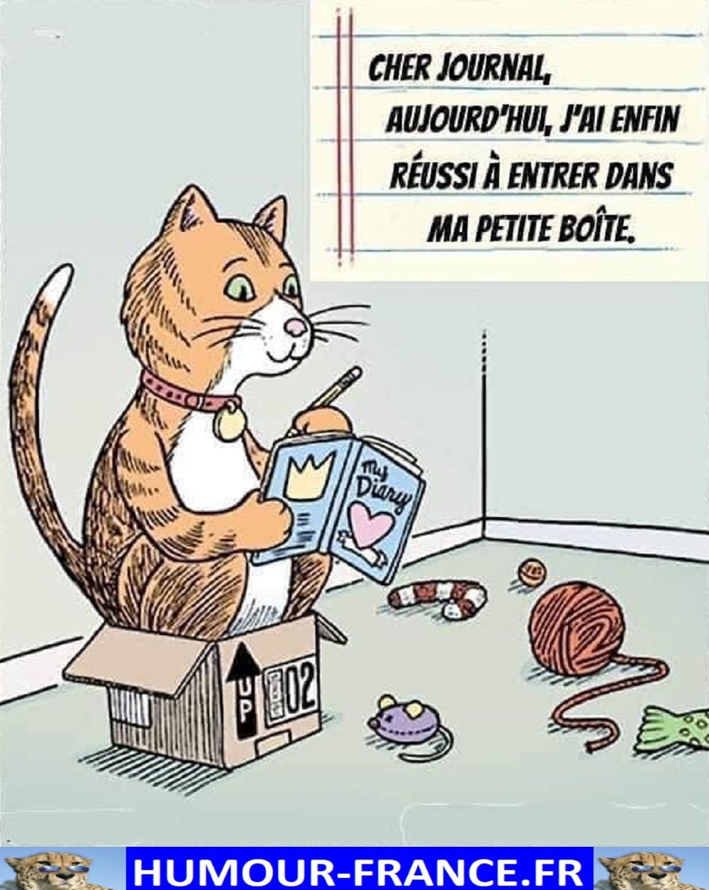 Cher journal, aujourd’hui, j’ai enfin réussi à entrer dans ma petite