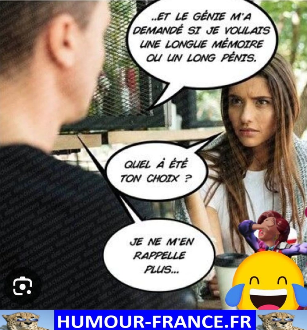 Demand Humour Et le génie m’a demandé si je voulais une longue mémoire ou un