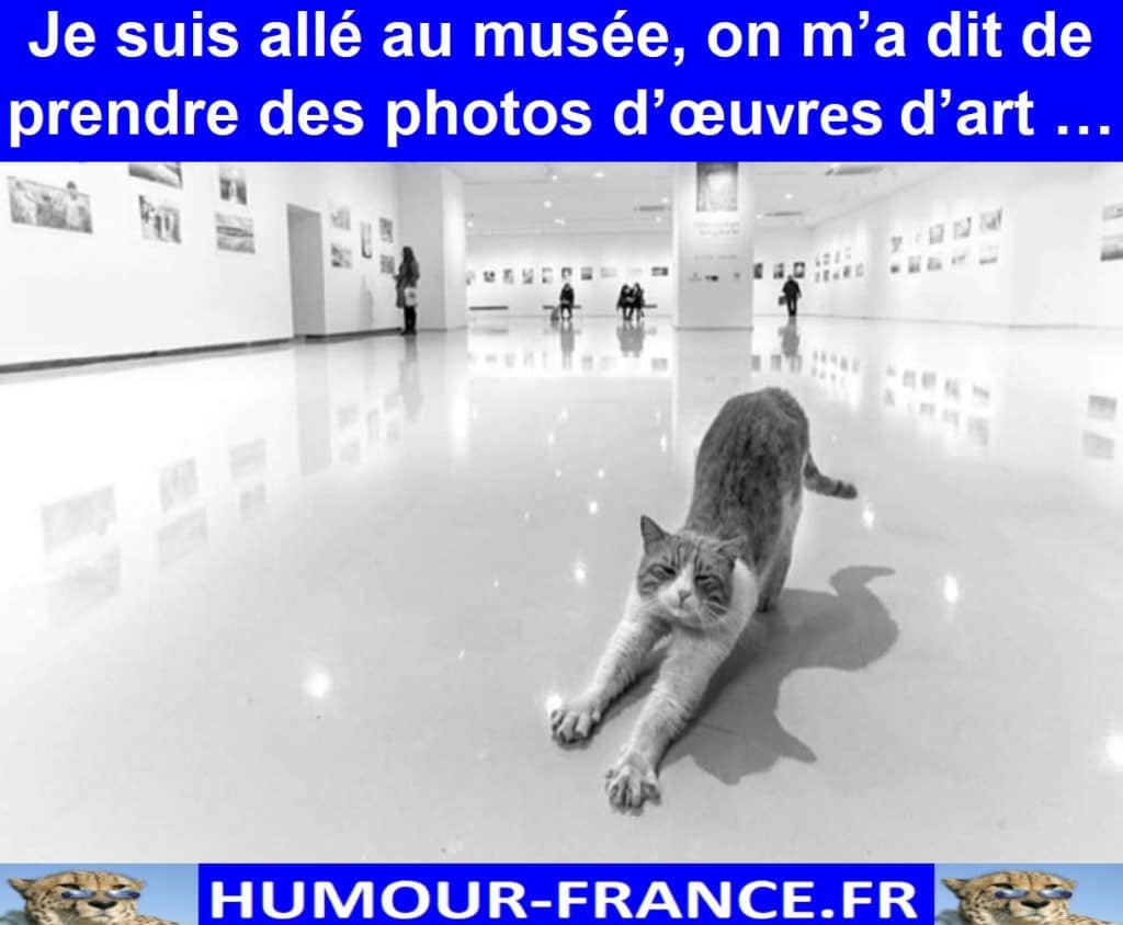 Je suis allé au musée, on m’a dit de prendre des photos d’œuvres d’art …