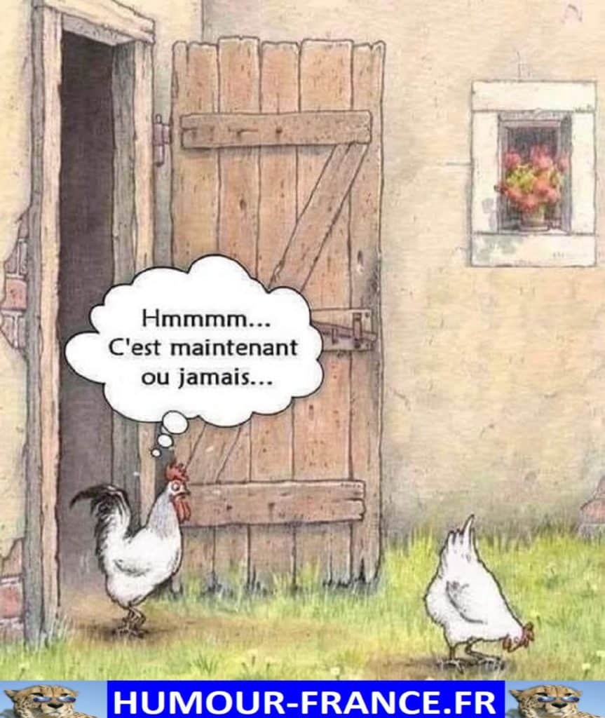 C’est maintenant ou jamais …