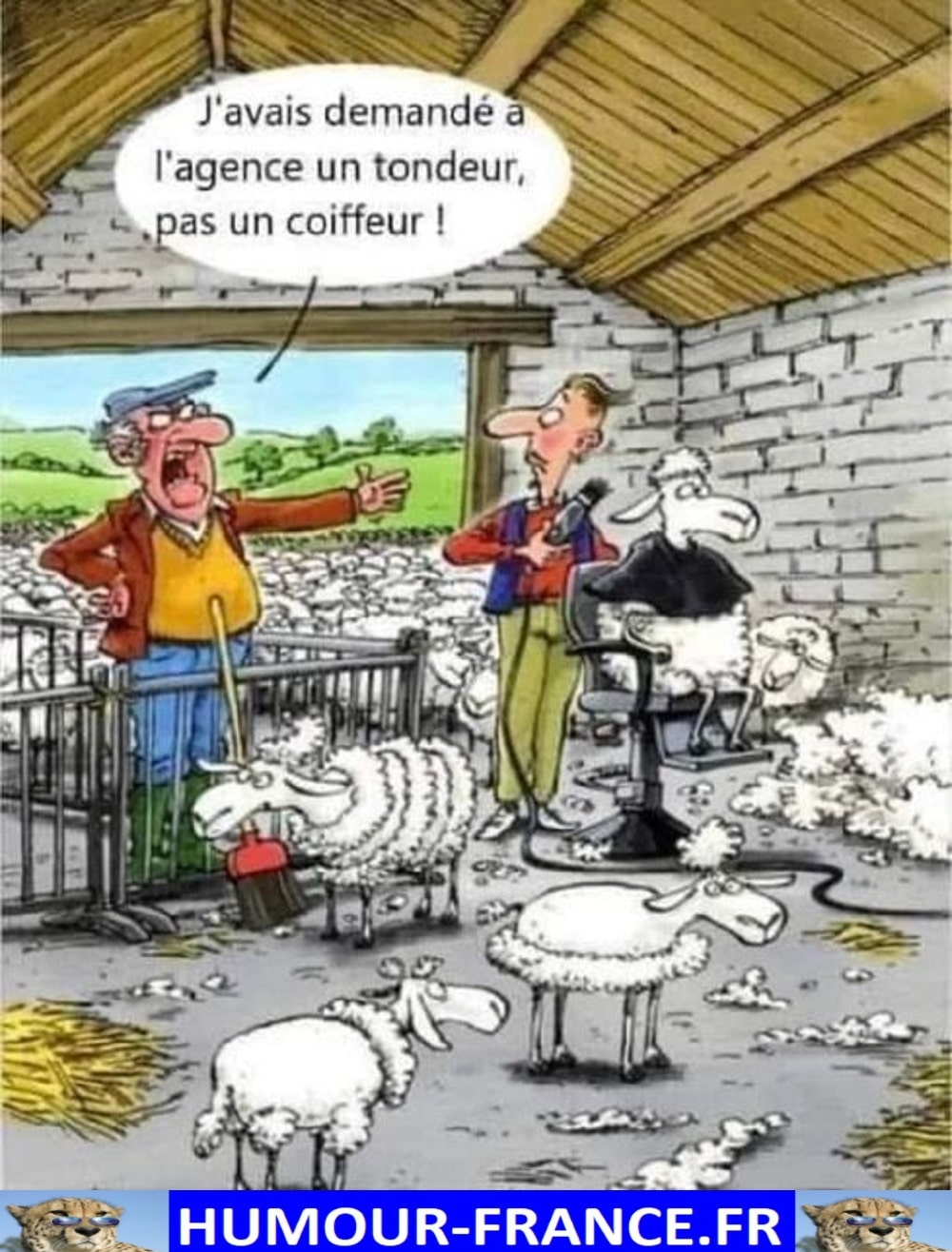 Demand Humour J’avais demandé l’agence un tondeur, pas un coiffeur ! - Humour-France.fr