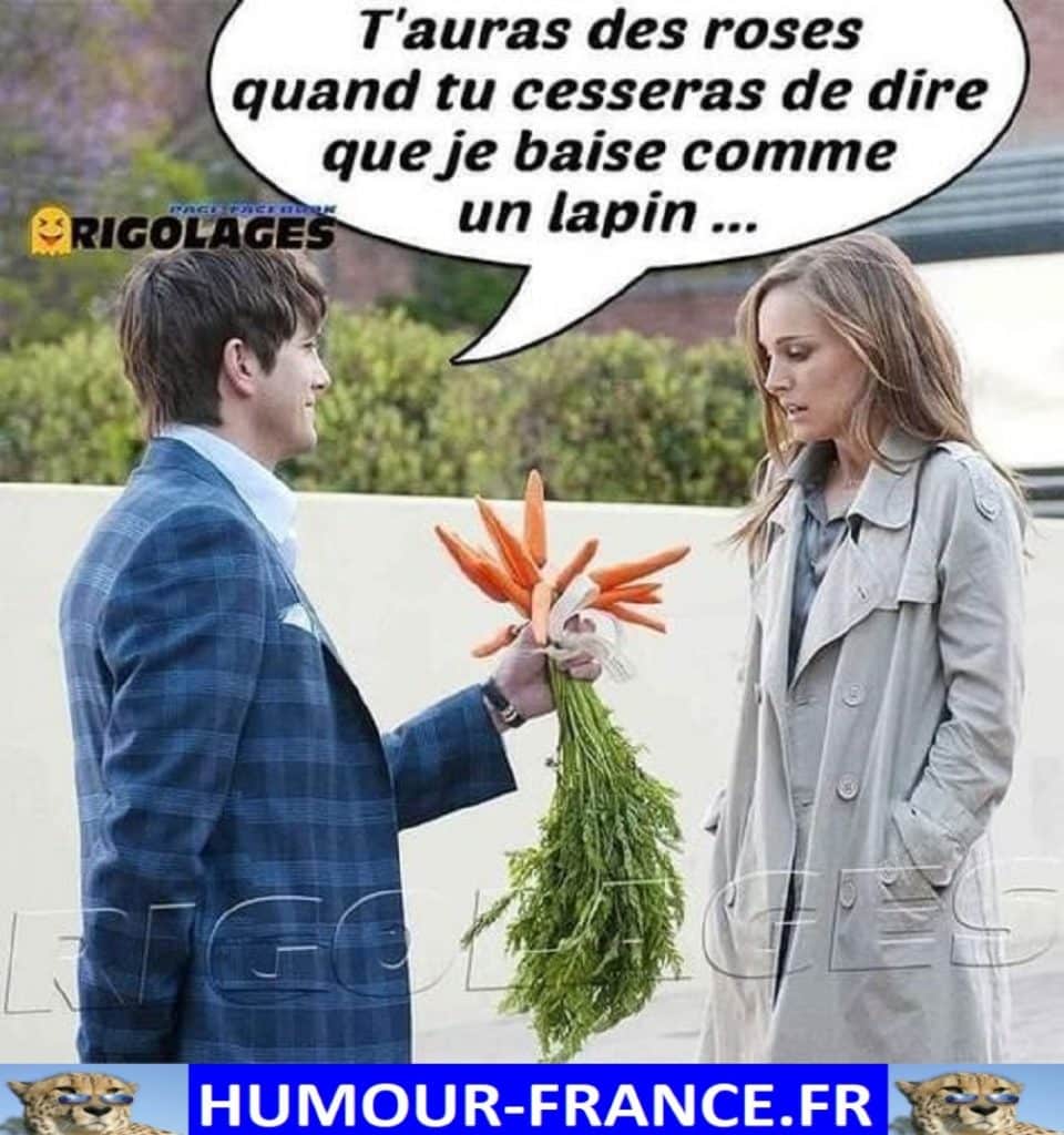 Tu auras des roses quand tu cesseras de dire que je baise comme un lapin …