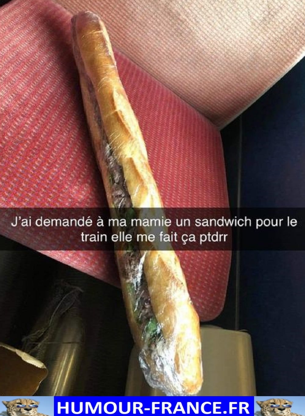 Demand Humour J’ai demandé à ma mamie un sandwich pour le train elle me fait ça ...