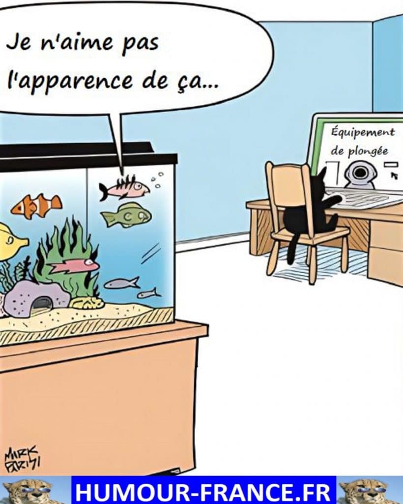 Je n’aime pas l’apparence de ça …