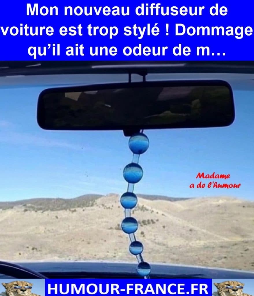 Mon nouveau diffuseur de voiture est trop stylé ! Dommage qu’il ait une odeur de m…