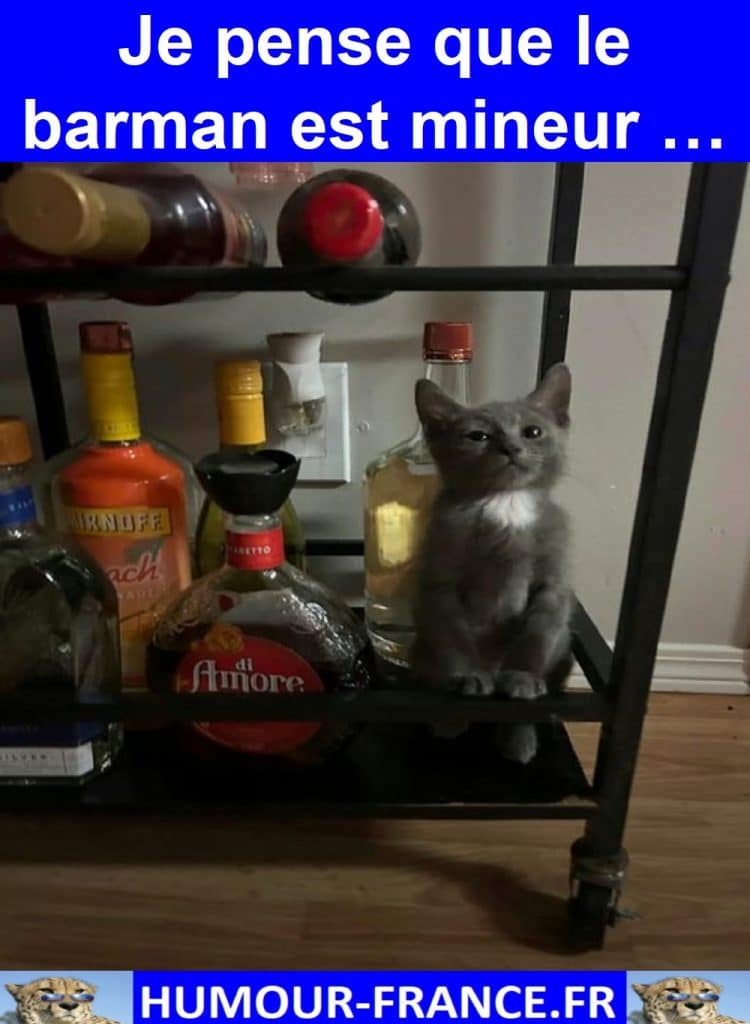 Je pense que le barman est mineur …
