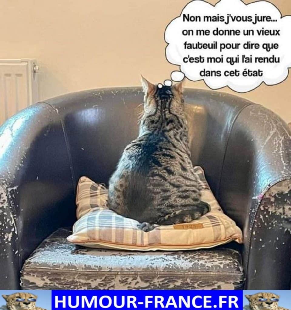 Non mais je vous jure … on me donne un vieux fauteuil pour dire que c’est moi qui l’ai rendu dans cet état.