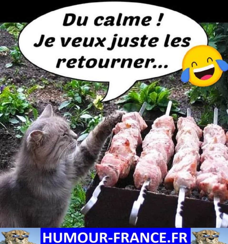 Du calme ! Je veux juste les retourner …