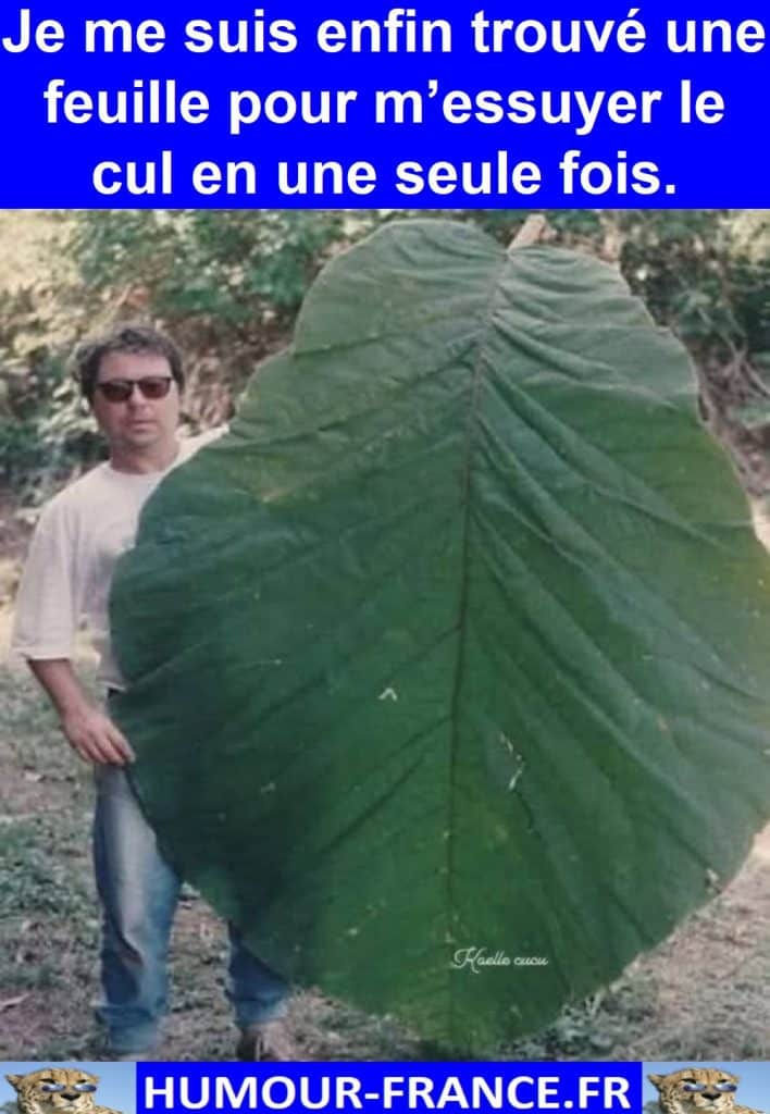 Je me suis enfin trouvé une feuille pour m’essuyer le cul en une seule fois.