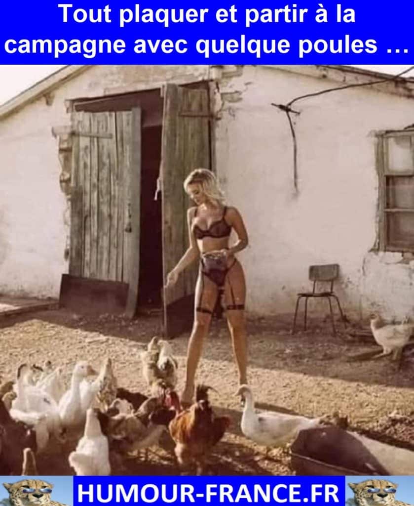 Tout plaquer et partir à la campagne avec quelque poules …