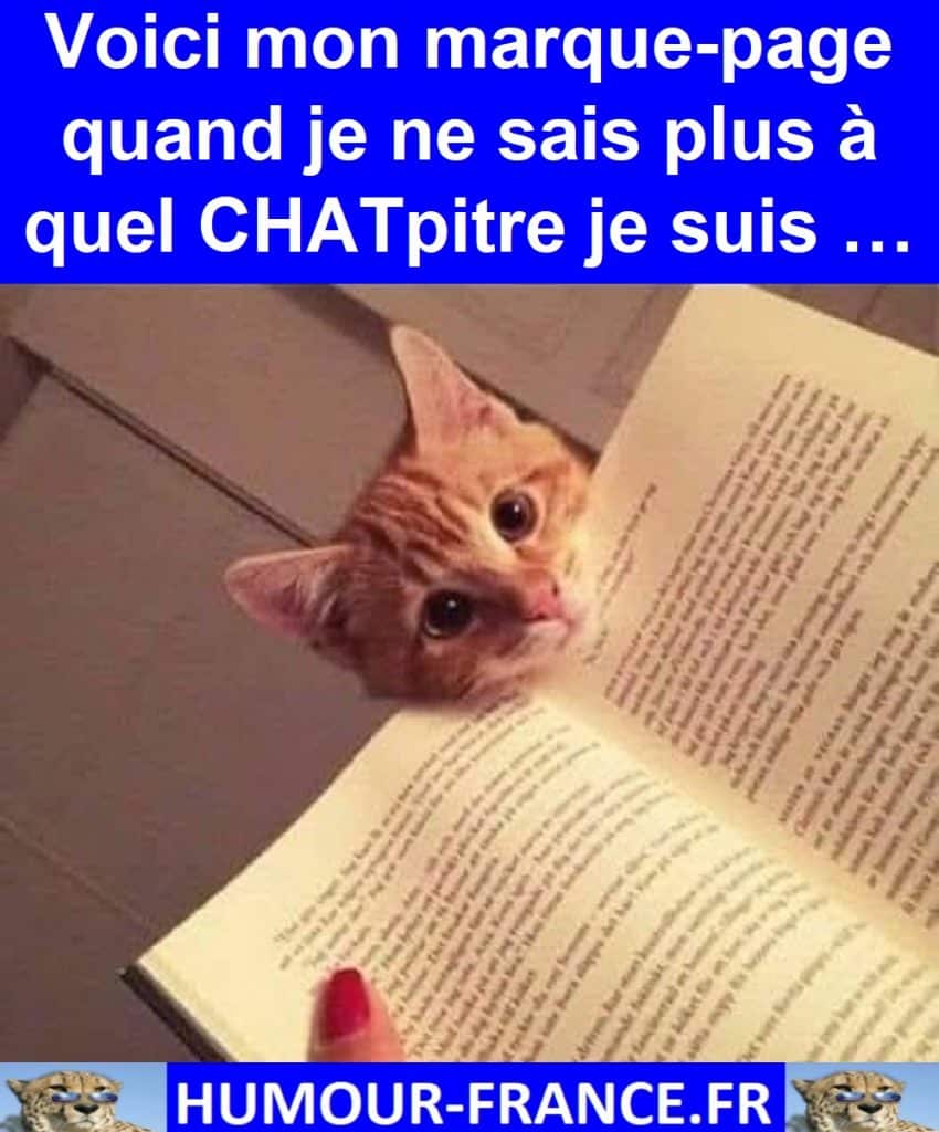 Voici mon marque-page quand je ne sais plus à quel CHATpitre je suis …