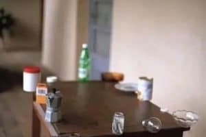 Aujourd’hui, c’est l’anniversaire de mon chat.