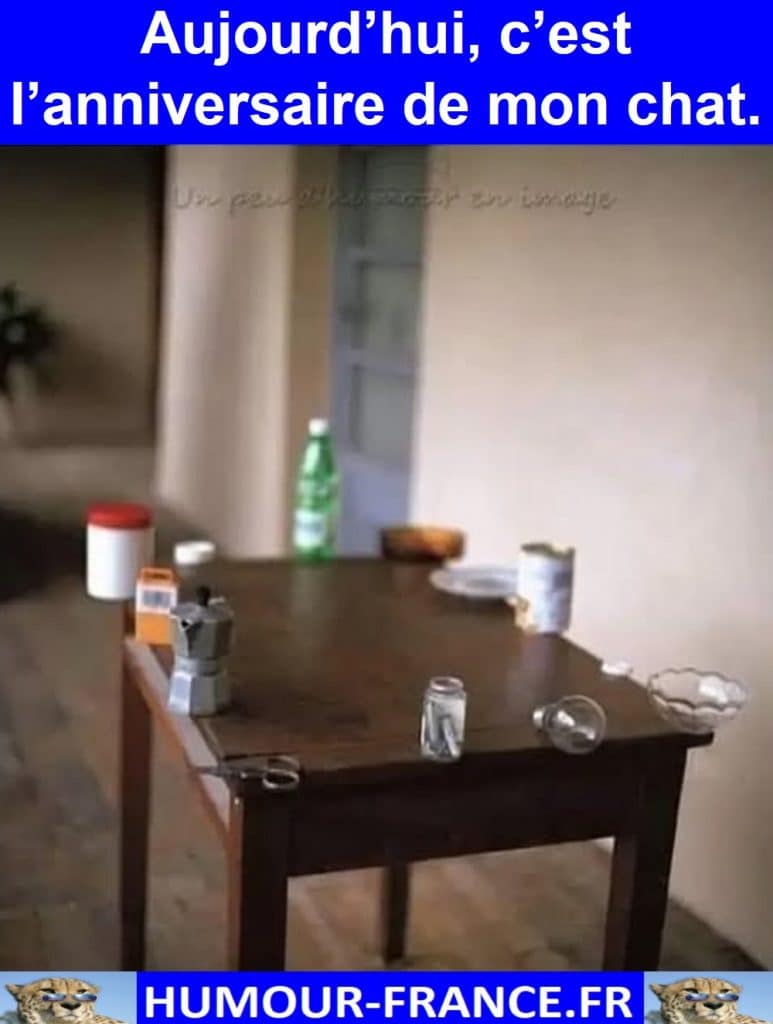 Aujourd’hui, c’est l’anniversaire de mon chat.
