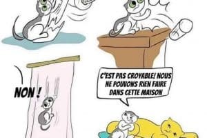 Ce n’est pas croyable ! Nous ne pouvons rien faire dans cette maison.