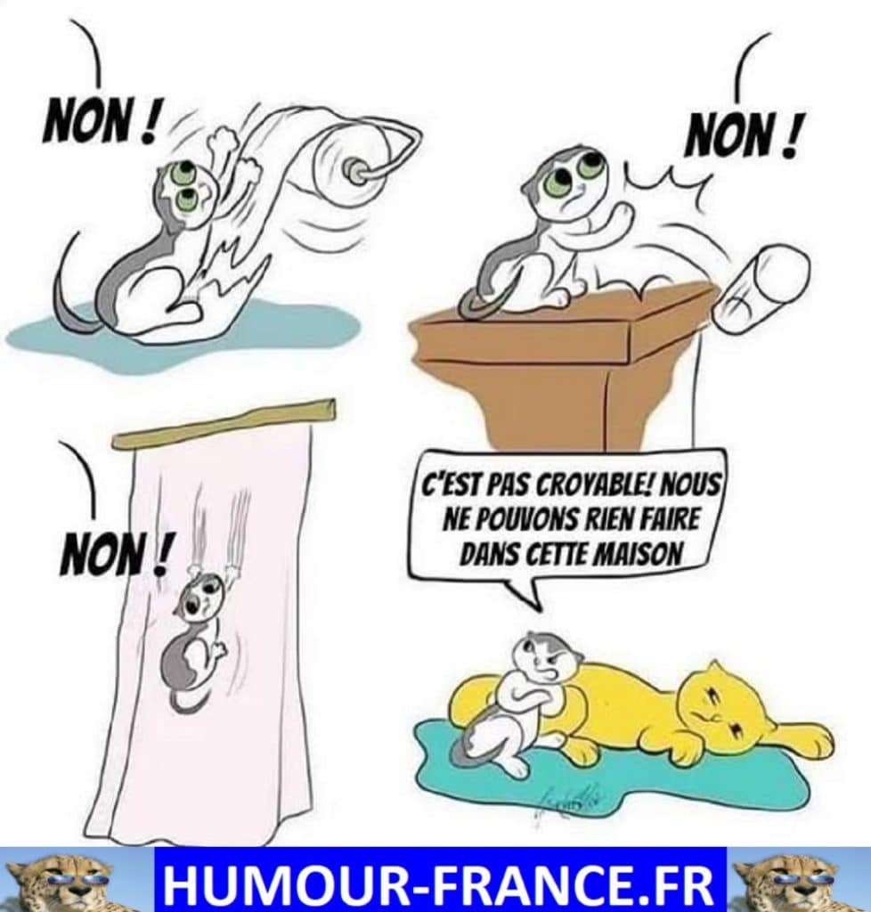 Ce n’est pas croyable ! Nous ne pouvons rien faire dans cette maison.