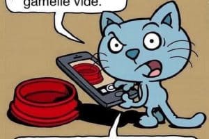 Je prends une photo de ma gamelle vide.