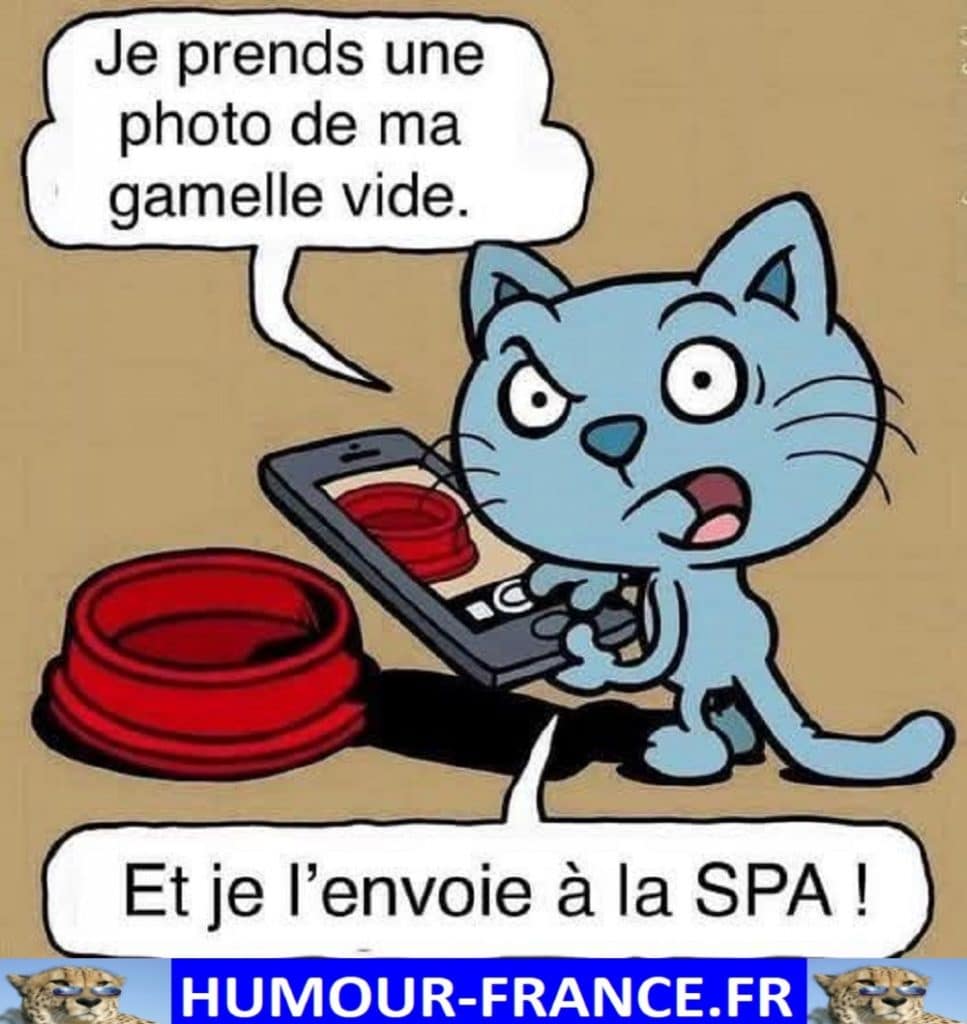 Je prends une photo de ma gamelle vide.