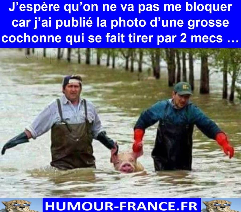J’espère qu’on ne va pas me bloquer car j’ai publié la photo d’une grosse cochonne qui se fait tirer par 2 mecs …