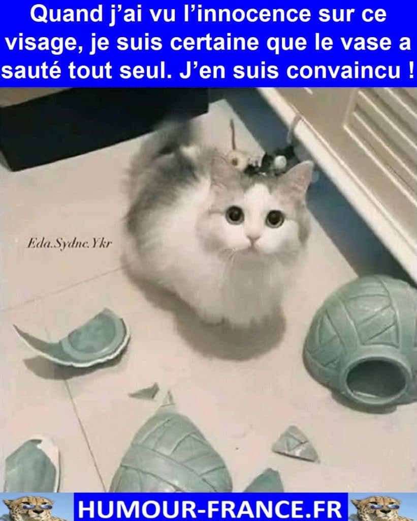 Quand j’ai vu l’innocence sur ce visage, je suis certaine que le vase a sauté tout seul. J’en suis convaincu !