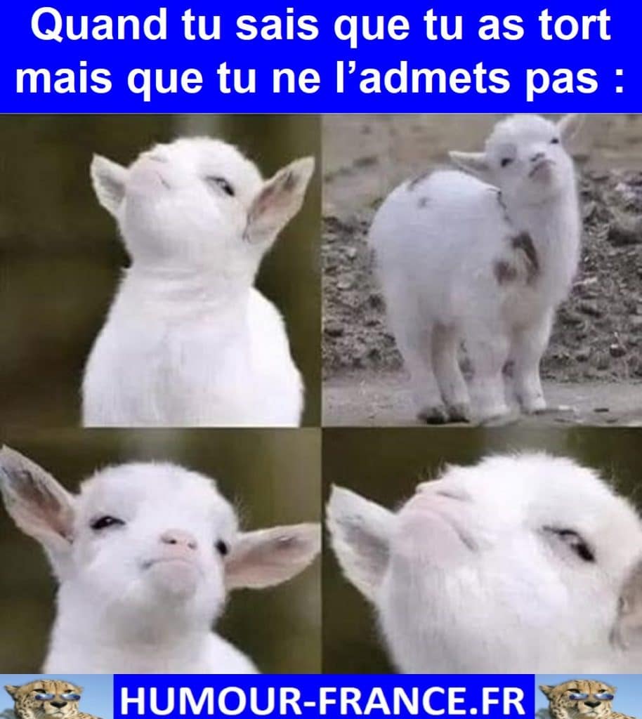 Quand tu sais que tu as tort mais que tu ne l’admets pas :