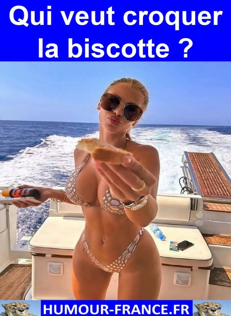 Qui veut croquer la biscotte ?