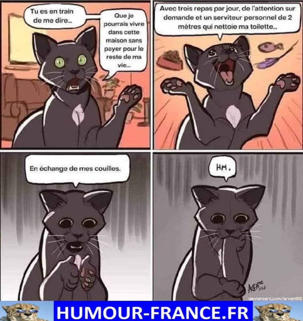 Tu es en train de me dire que je pourrais vivre dans cette maison sans payer pour le reste de ma vie …