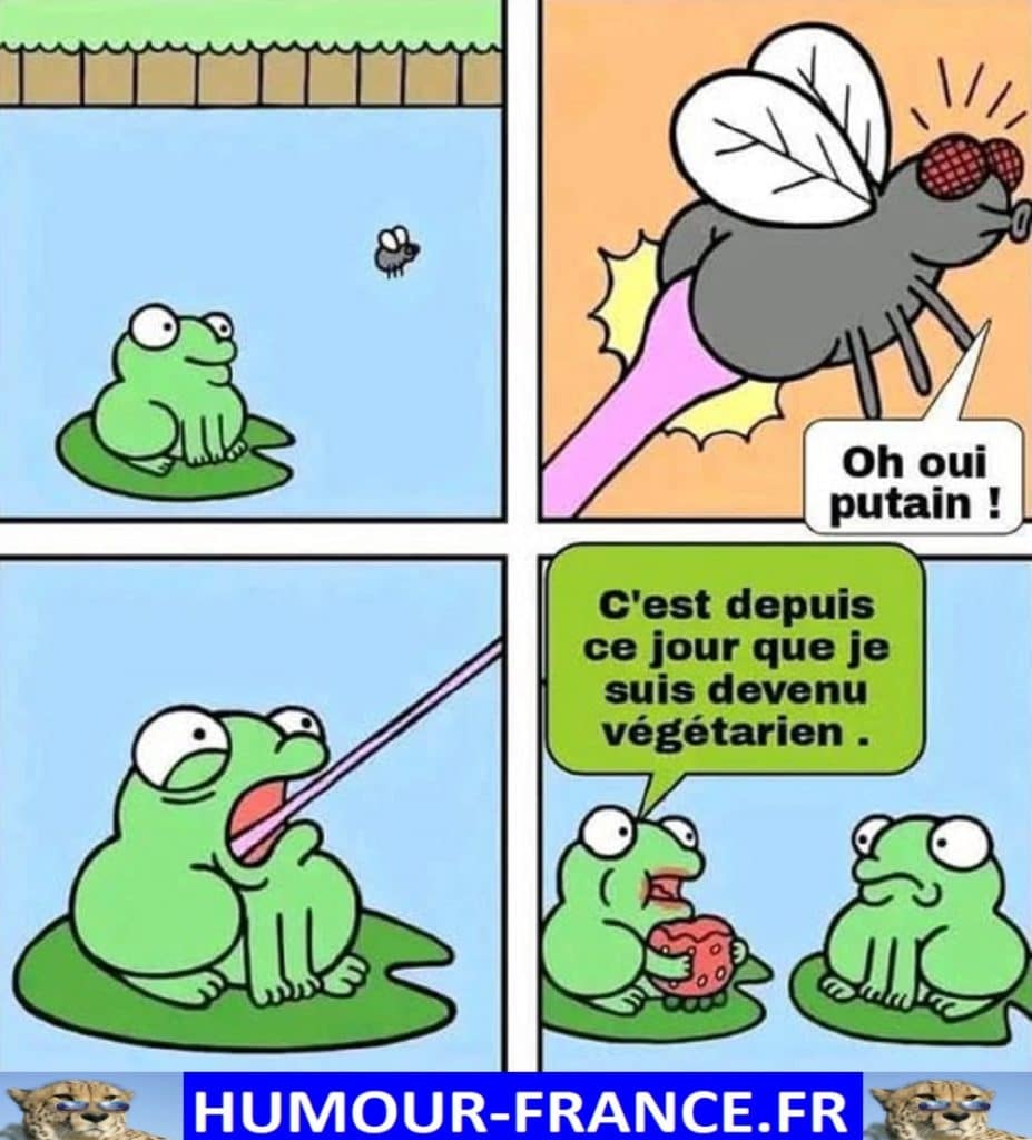 C’est depuis ce jour que je suis devenu végétarien.