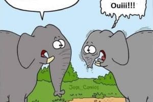 C’est vrai ? L’eau est très froide ?