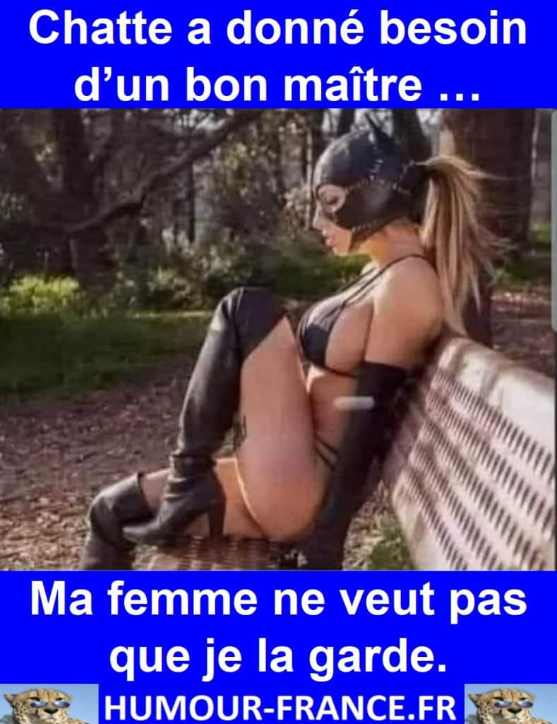 Chatte a donné besoin d’un bon maître …
