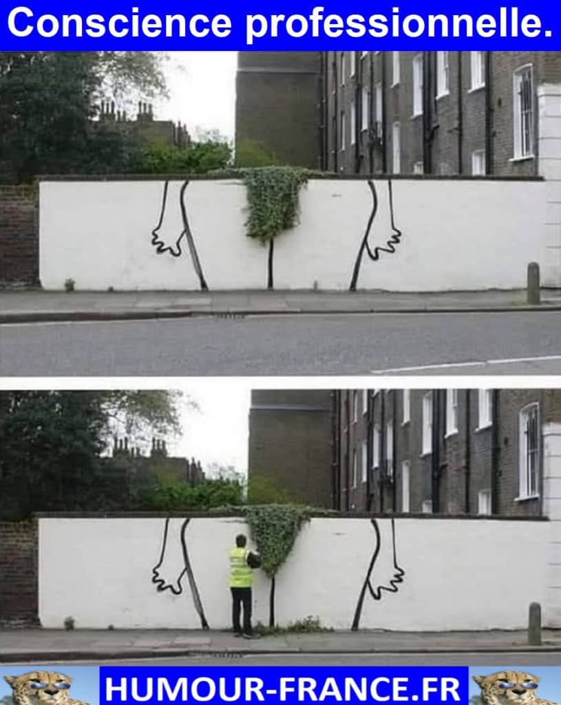 Conscience professionnelle.