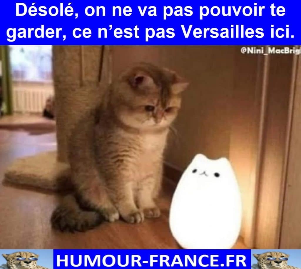 Désolé, on ne va pas pouvoir te garder, ce n’est pas Versailles ici.