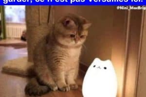 Désolé, on ne va pas pouvoir te garder, ce n’est pas Versailles ici.