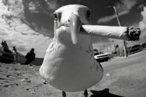 Fume la vie avant qu’elle te fume.