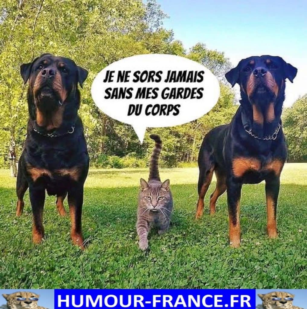 Je ne sors jamais sans mes gardes du corps.