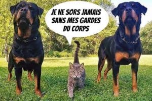 Je ne sors jamais sans mes gardes du corps.