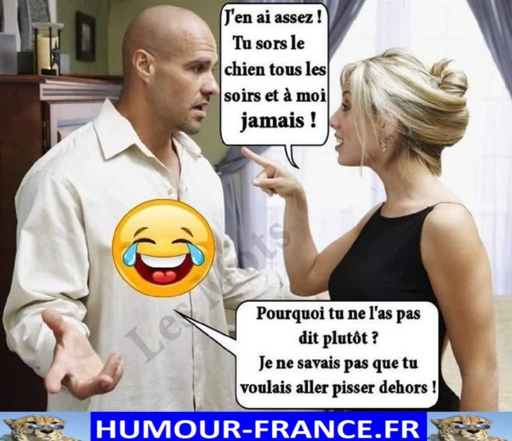 J’en ai assez ! Tu sors le chien tous les soirs et à moi jamais !