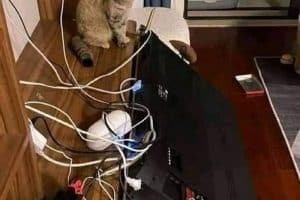 La télé à fait un malaise !!!