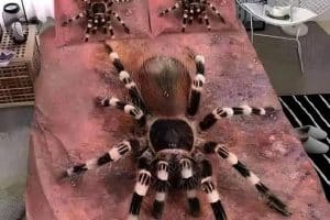 Le genre de lit lequel je serais totalement incapable de dormir.