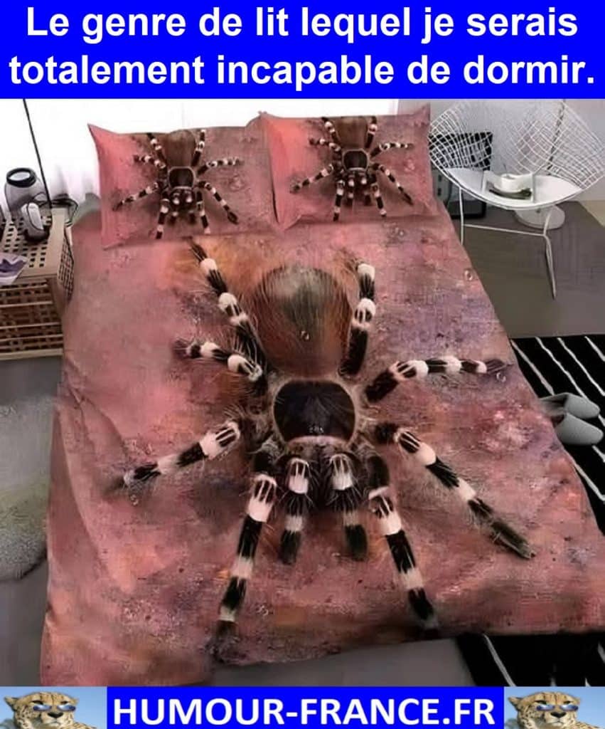 Le genre de lit lequel je serais totalement incapable de dormir.