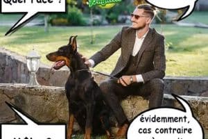 Magnifique ! Quelle race ?