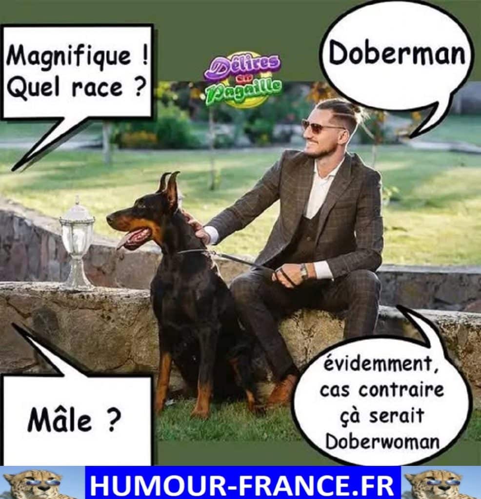 Magnifique ! Quelle race ?