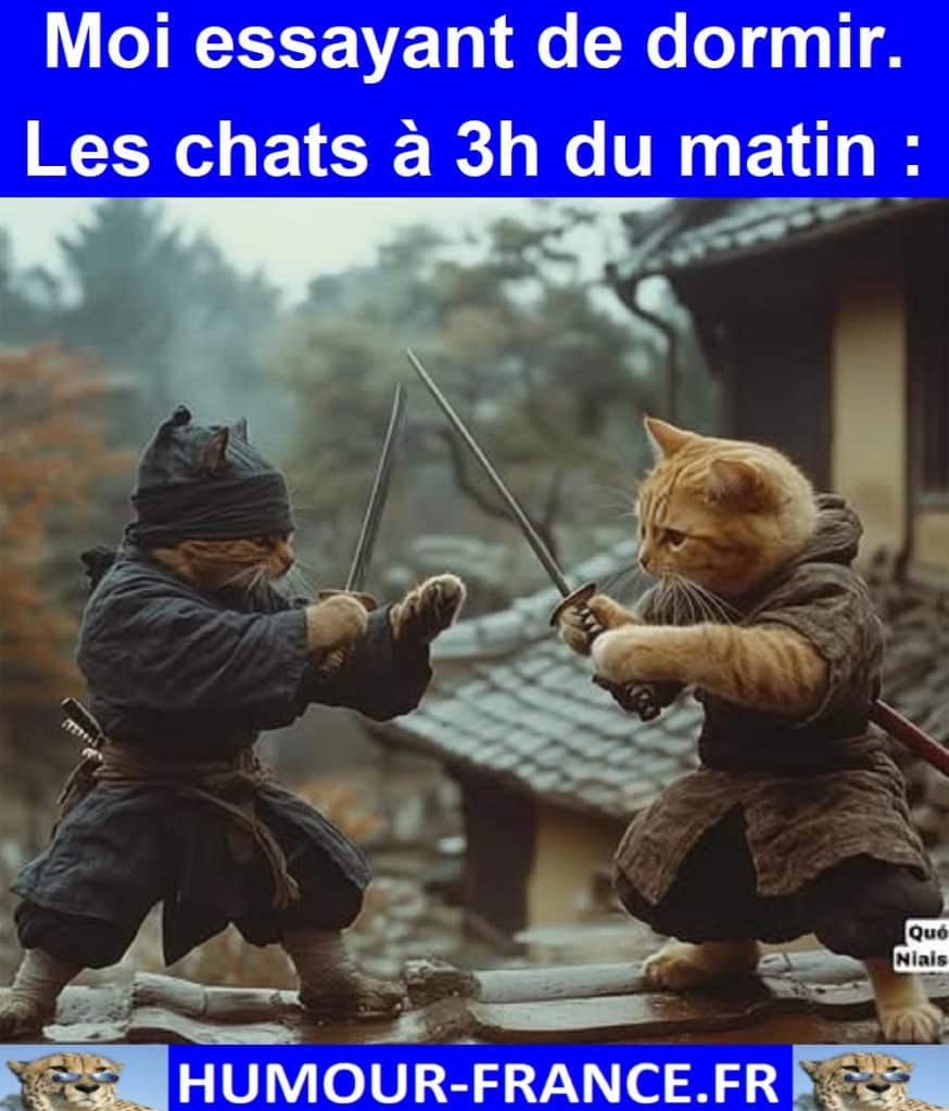 Moi essayant de dormir. Les chats à 3h du matin :