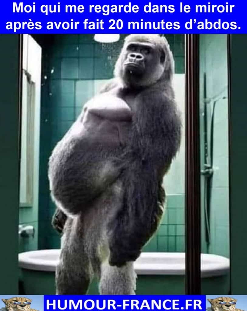 Moi qui me regarde dans le miroir après avoir fait 20 minutes d’abdos.