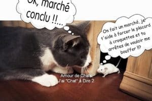 On fait un marché, je t’aide à forcer le placard à croquette et tu arrêtes de vouloir me bouffer !!?
