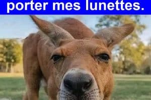 Quand j’essaye de lire un truc sans porter mes lunettes.