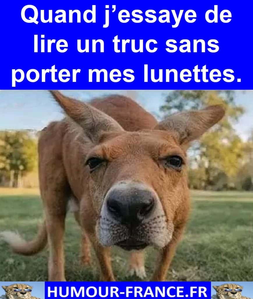 Quand j’essaye de lire un truc sans porter mes lunettes.